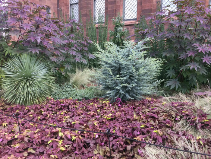 Foliage garden