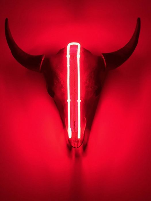 Close up of neon-lit cow's skull