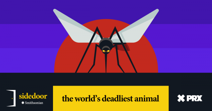 Sidedoor: The world’s deadliest animal