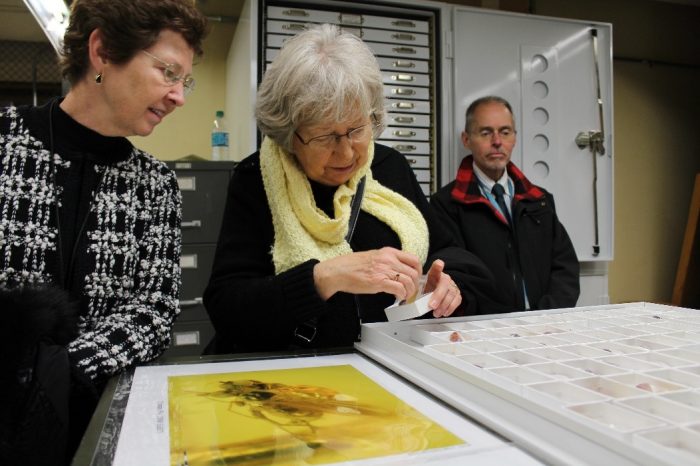 Two women looking at specimens; Bill Blandy in background
