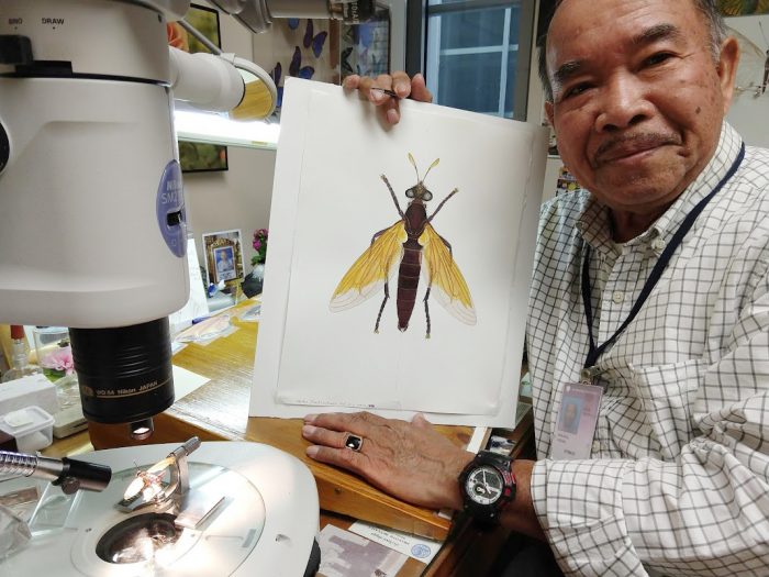 Vichai holding drawing of a fly