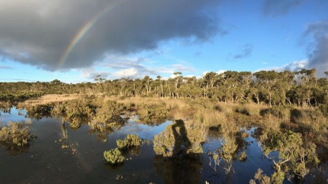 Salt Marsh with rainbow