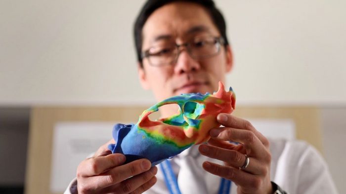 Scientists holds colorful printed skull