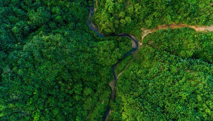 Myanmar jungle seen from above