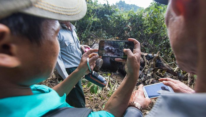 Researchers photograph poaching site