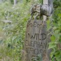 Sign for wild elephant crossing