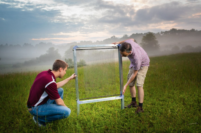 Two boys setting up instrument in misty field