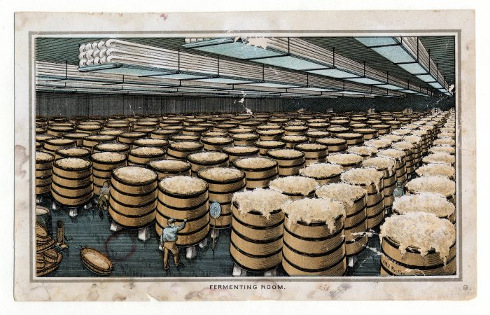Drawing of room holding kegs of beer, some foaming