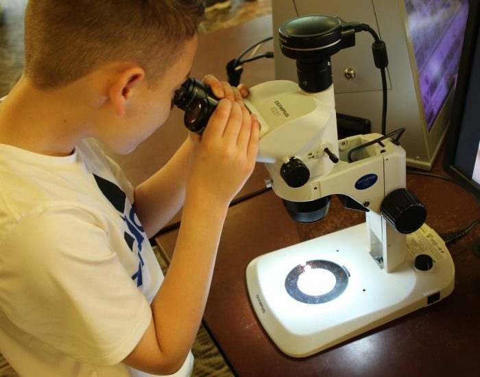 Young boy using microscope