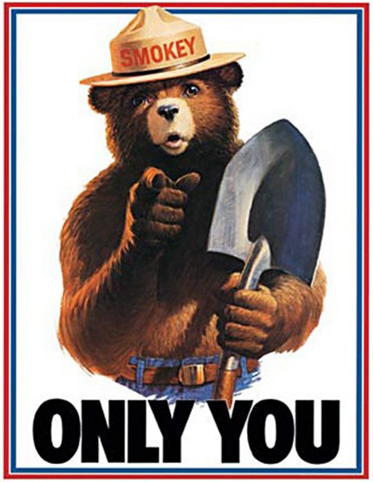 1984 Smokey Bear poster