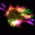 animated supernova