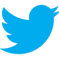 Twitter logo of blue bird