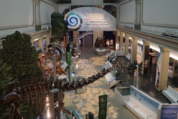 NMNH Fossil Hall Entrance