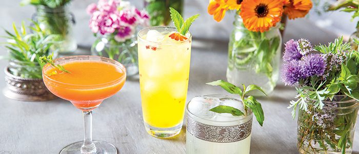 Prune the shrubs? No thanks, we’d rather drink them.