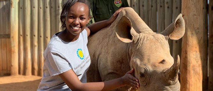 The Poop Scoop: How dung helps us understand rhino reproduction