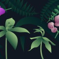 Graphic of orchids for S4.1