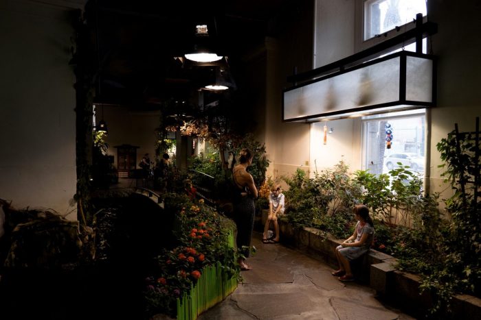 Stock photo of dimly lit butterfly garden