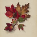 watercolor painting of autumn leaves