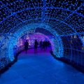 tunnel with blue lights