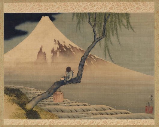 Boy Viewing Mount Fuji