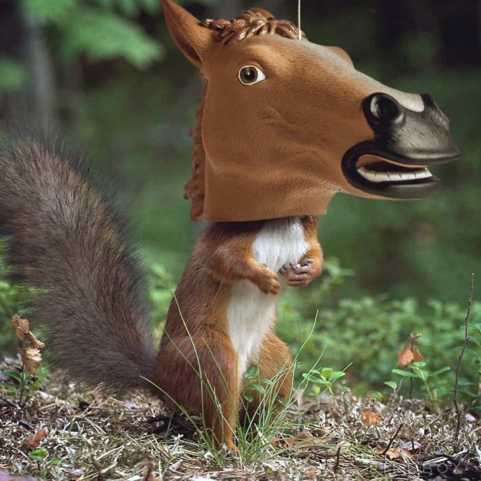 A squirrel wearing a horsehead mask