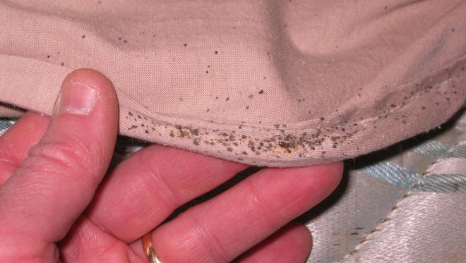 Close-up of dark spots on edge of blanket