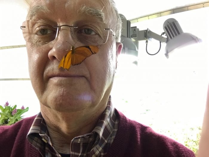 Dan Roe with a butterfly on his nose