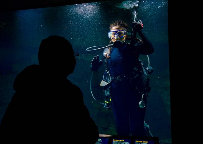 Scuba diver seen through glass window