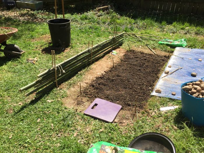 Backyard garden with tarp and tools