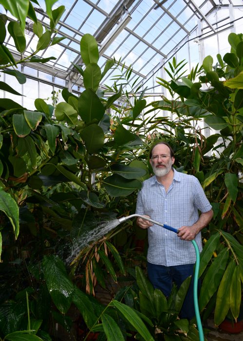 Botanist watering greenhouse plants