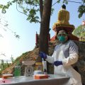 Woman in the field wearing mask and collecting samples