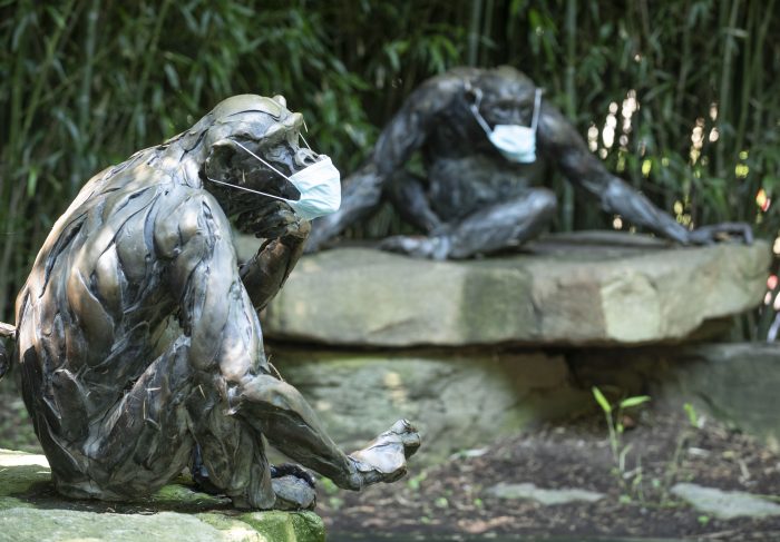Chimp statues with masks