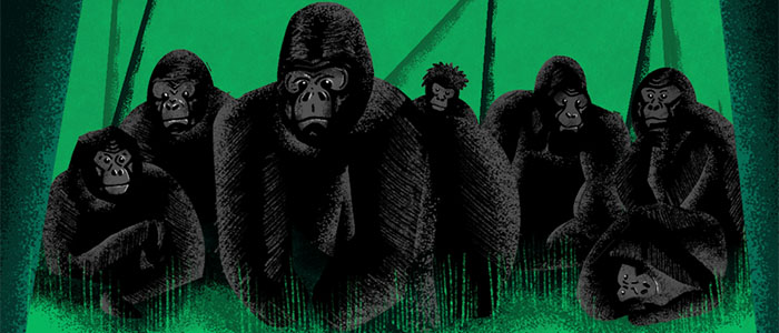 Sidedoor: The Gorilla Epidemic