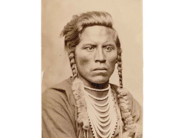 Photo of Crow scout Curly