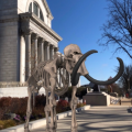 Augmented reality image of a mastadon skeleton in front of NMNH