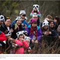 Families wearing panda hats crowd around exhibit