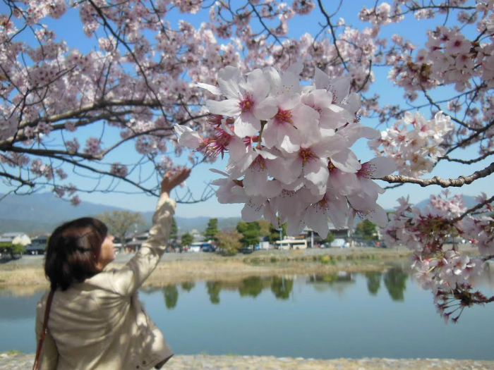 A young woman points at blooming tree near small lake