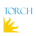 Torch favicon