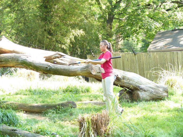 Volunteer working in an exhibit