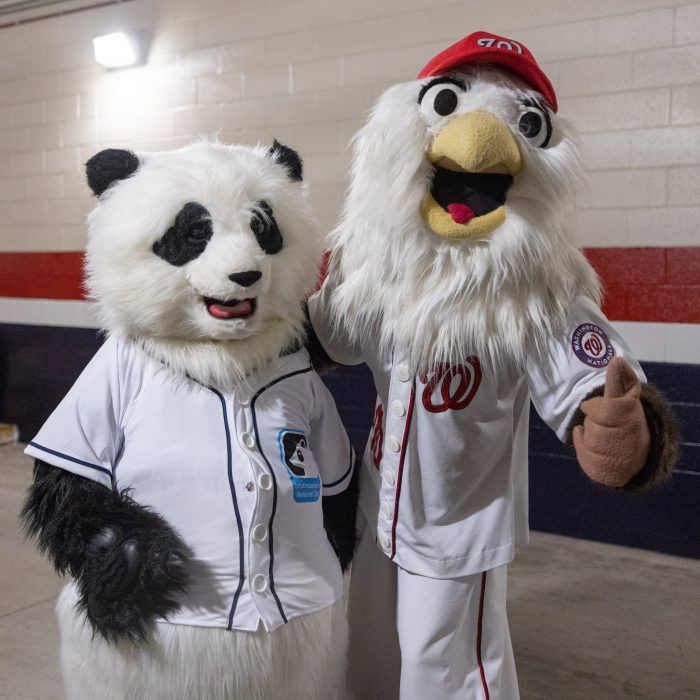 Panda and Nationals Eagle mascot