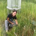 Scientists doing field research in marsh