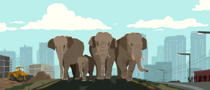 Make Way for Elephants