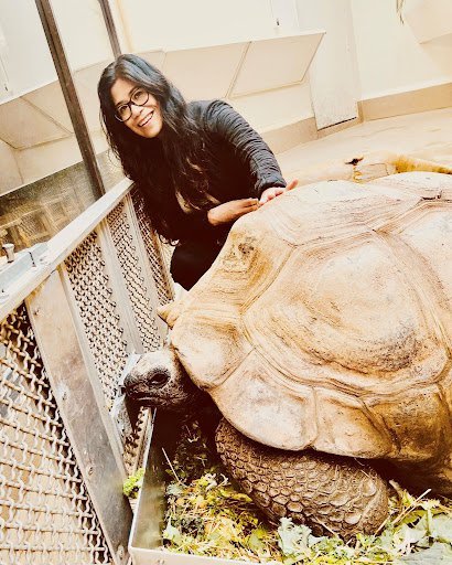 Jenn Donato with giant tortoise