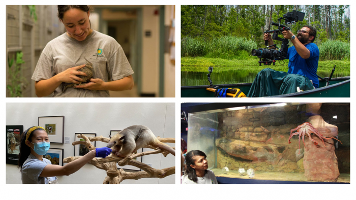 Collage of Zoo professionals at work