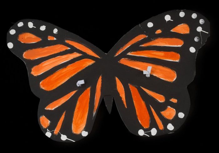 Painted butterfly wings