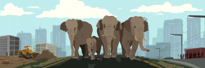 Graphic for Season 7, Ep p1 of SIdedoor Make Way for Elephants