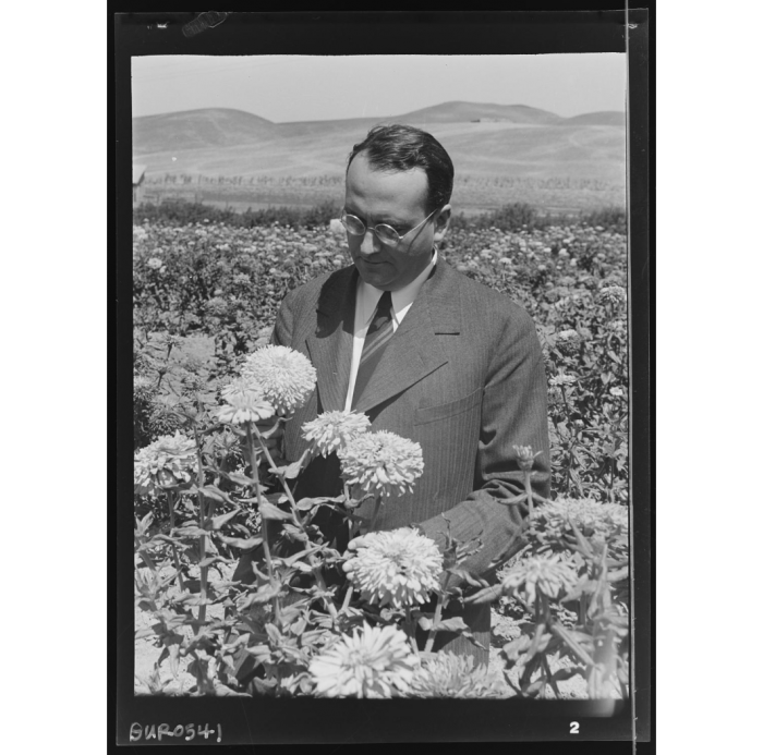 Black and White photo of Burpee in field of flowers