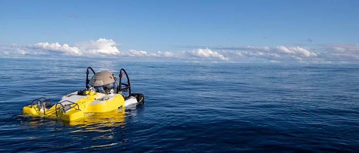 A Yellow Submarine Explores the Depths of the Panamanian Pacific