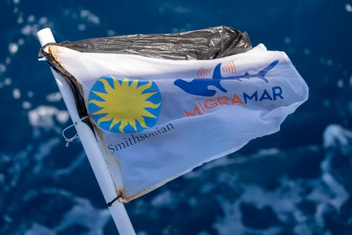 Flag with Smithsonian and MigraMar logos