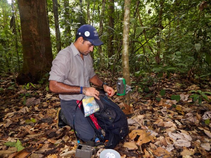 Moreno sets a camera trap